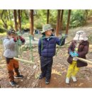 꽃숲유치원 | 사랑이의 "가을 숲유치원 이야기"