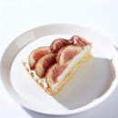 밀도 티스토리