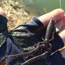 (주)블루앤트 이미지