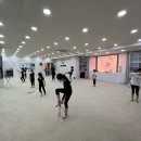 퓨어리듬체조아카데미