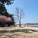 자연발생유원지해수욕장 화장실 | 인천 무의도 서해 노지 실미유원지 캠핑장 명당 칼국수