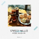 주식회사 이루고 | 남양주 화도읍카페 오헬로, 귀여운 개냥이가 있는 애견동반 카페