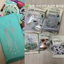 민트초코 - 천안시 서북구 검은들3길 48 | 일본 민트초코 추천 후기｜민초단이 일본 가면 꼭 사오는 이유