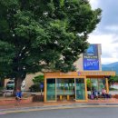 서운초교길 이미지