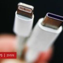 통일컨테이너 이미지