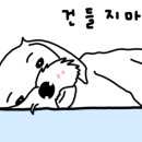 비캄