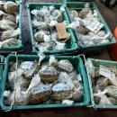 더 사랑하고 싶어서 | [일상] 사랑하고 사랑해 내 인생 (26.2.25.WED)