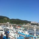 (주)힐스톤 이미지