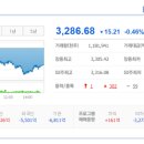 펄인베스트먼트