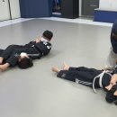 푸른합기도 이미지