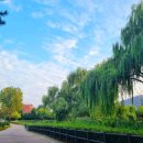 용산-이촌-185 이미지