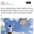 텍스트고어가 뭔지 아는사람? 데못죽 본사람? 이미지