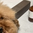 우아한호작질 | [톤28 회상 바디로션] 보습력과 향이 좋은 아로마틱 로션