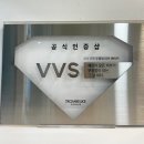 비룸스킨