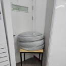 함개하자냥 | 대구 달서구 실내 애견카페 운동장이 있는 함개하자냥