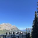 가고파 자동차정비 | [8月일상] 다섯 번째 캐나다 일상 이야기: 캐나다 한 달 살기 5편 🇨🇦