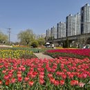 낙동강관리본부 화명생태공원 10 이미지