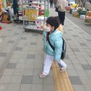 위풍당당 태권도장 | 검단신도시 태권도 아라태권도 1년 다닌 후기