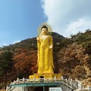 속리산 법주사 이미지