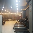 하태GYM 이미지