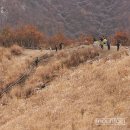 가을맞이 억새 산행지 4선, "그래, 가끔은 흔들려도 좋아" 이미지