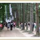 경춘관