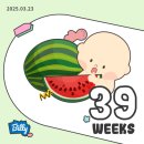 [39주차기록]임신 39주 유도분만 예약/3.6kg 우량아/자연분만? 제왕절개?
