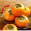 신선헬스 이미지