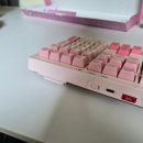 2108 | 지클릭커 오피스프로 WK50 사일런스 M RGB 무소음 방수 무선 블루투스 키보드 Pink RC2108키 사용 후기