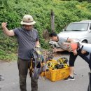 하례1리 마을회관 이미지