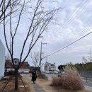 임랑해수욕장1 | [부산1] 임랑해수욕장 근처 박태준기념관 건축답사후기