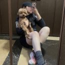 해즈네이처 | [러닝]여자 런린이 룩이고요/아식스 노바블라스트4 로즈 루즈,데카트론 러닝 캡,아디다스 오운더런 러닝...