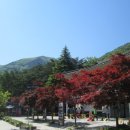 무릉계곡 이미지