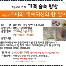 6.16(일)가족숲속탐방(개미와 개미귀신의 한살이)_오후2시_유아7세~초등생 동반 가족대상 이미지