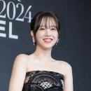 뽀블리 이미지