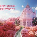 다노디자인 이미지