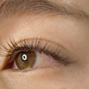 브릴랑뷰티 이미지