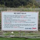 [경북/청도]신난다애견글램핑,청도애견동반펜션숙소 후기,똥꼬발랄신보리와 함께한 청도애견동반여행