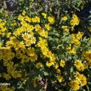 이가숯불화로구이 이미지