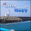제주 커플 여행 추천 공항 근처 가볼만한곳 서쪽 코스 이호테우해변