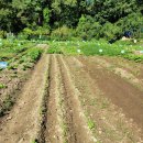 우하농장 이미지