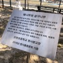 상평현서분교 이미지