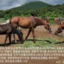 태종동물병원 이미지