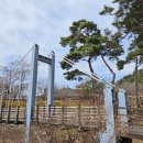 토요일(특별) 이미지