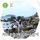 180만 년 전 제주 중문 시간 여행 서귀포층 패류화석 산지