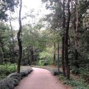 밀팟 - 고양시 일산서구 중앙로 1436 | 밀팟