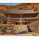 부용불교사 이미지