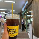 엔돌핀몽골