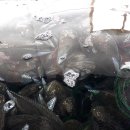 고잠2길 2 이미지