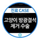 강동24시SKY 동물병원 이미지
